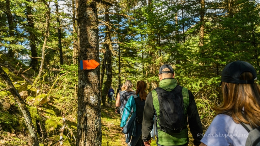 Istanbul Belgrad Forest Hiking & Trekking Tour with Local Hikers 2