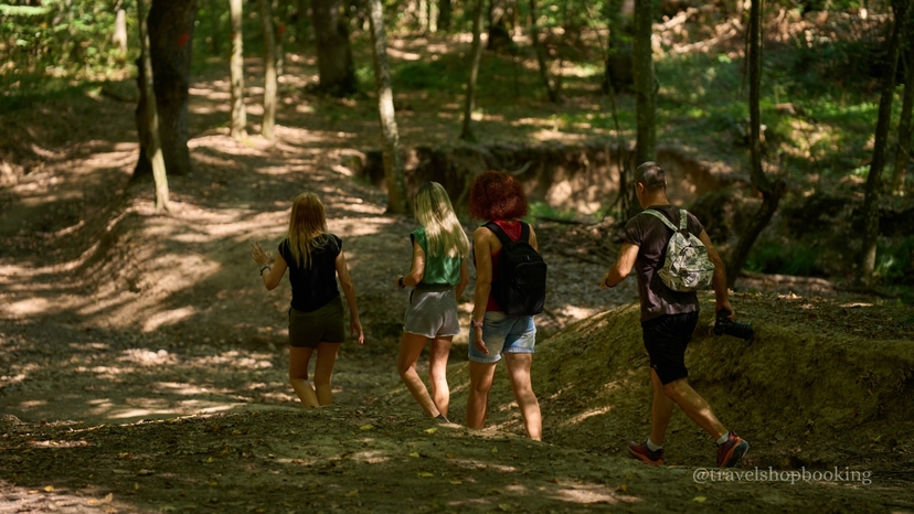 Istanbul Belgrad Forest Hiking & Trekking Tour with Local Hikers 3