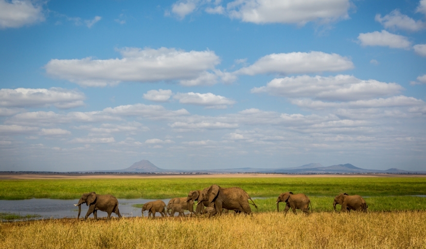 6-Day Small Group Safari, Only 4 Seats Left, Wild Escape 2