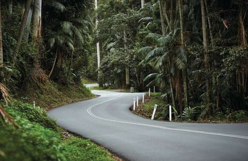Tamborine Mountain - Hop On Hop Off - From Brisbane & Gold Coast 2