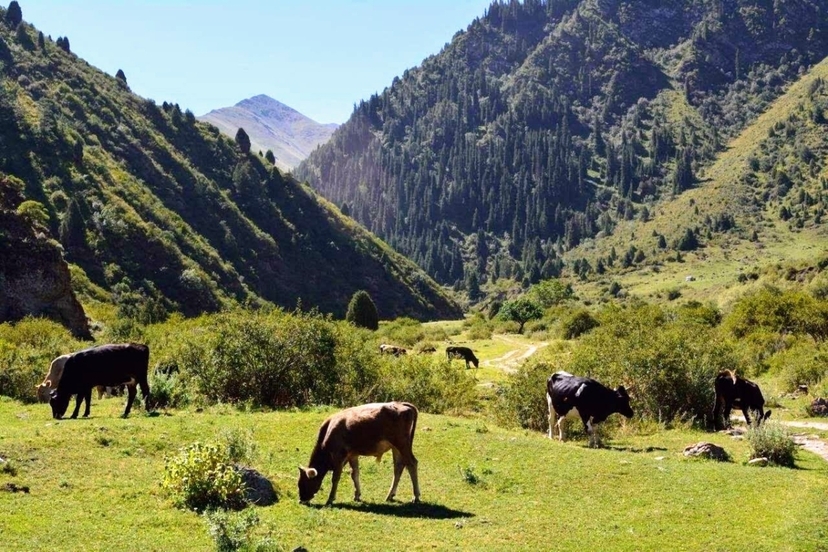 2-Day tour Nature Escape: Koltor Lake & Chon-Kemin Valley 3