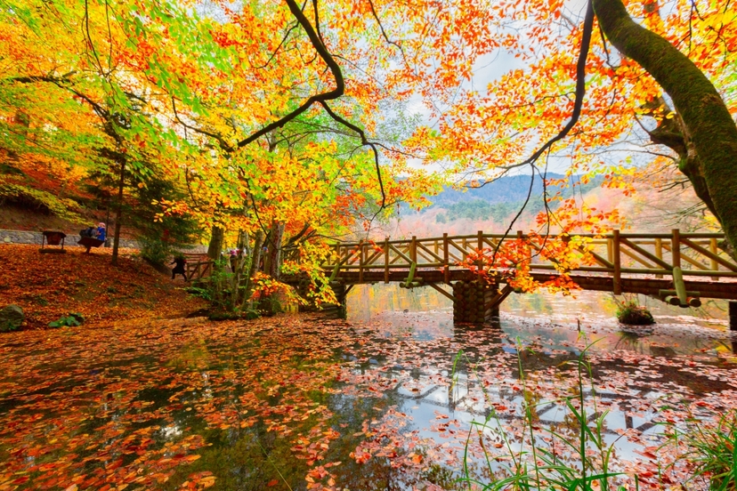 8 Days Turkey Tour Package: Istanbul, Bursa, Pamukkale, Cappadocia, Ankara, Bolu & Sapanca Lake 2