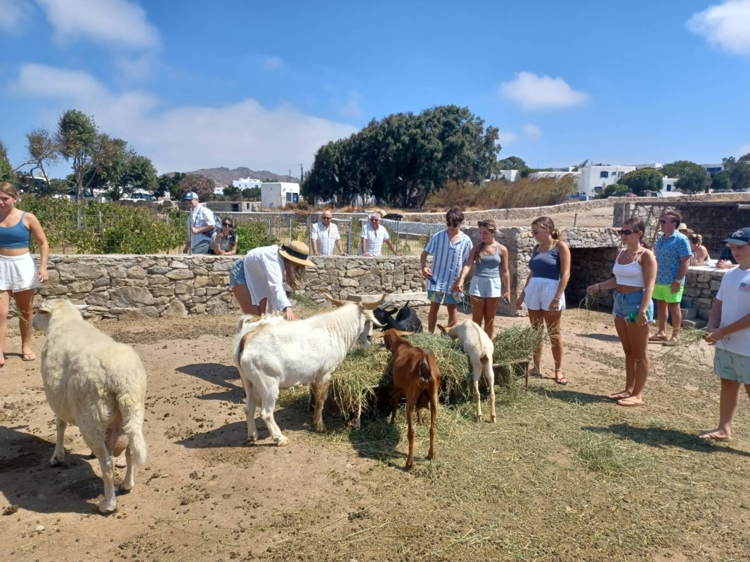 Mykonian Farm Entrance 1