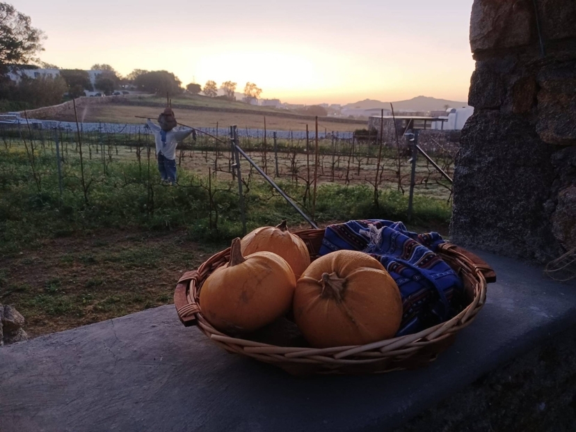 Mykonian Farm Entrance 2