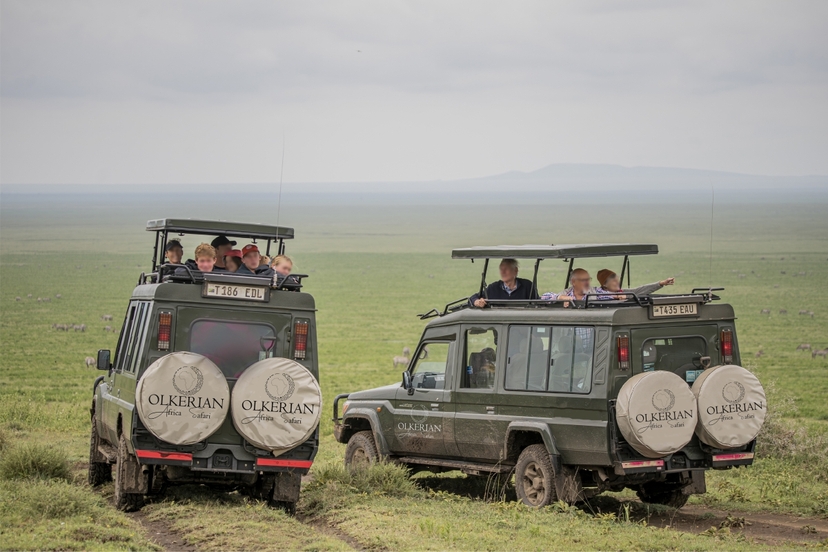 7DaysSerengeti Wildebeests Migration Crossing 4