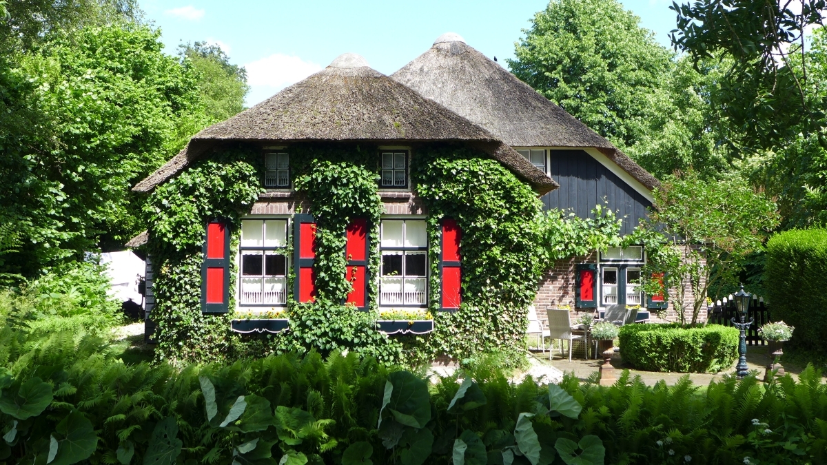 Amazing Benelux 1