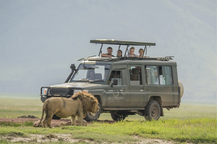 5 Days Ngorongoro Crater to Serengeti Plains Adventure 2
