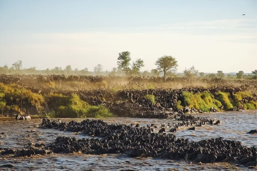 5 Days Ngorongoro Crater to Serengeti Plains Adventure 4
