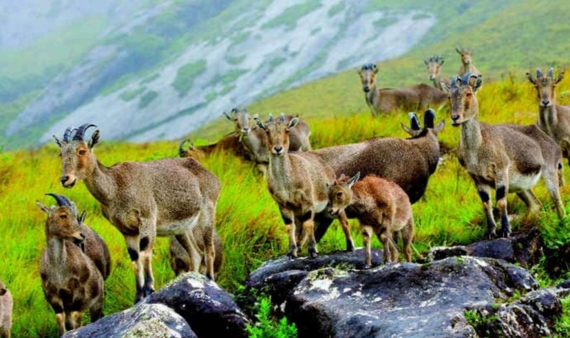 Southern India Highlights & Coastal Experience 2
