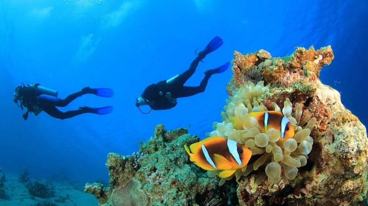 Daily Kas Scuba Diving Tour