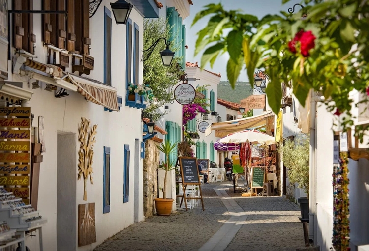 Daily Alacati-Cesme-Sigacik Cities Tour