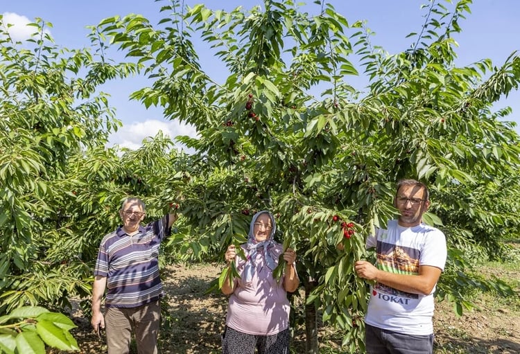 Daily Tokat Natural Tour