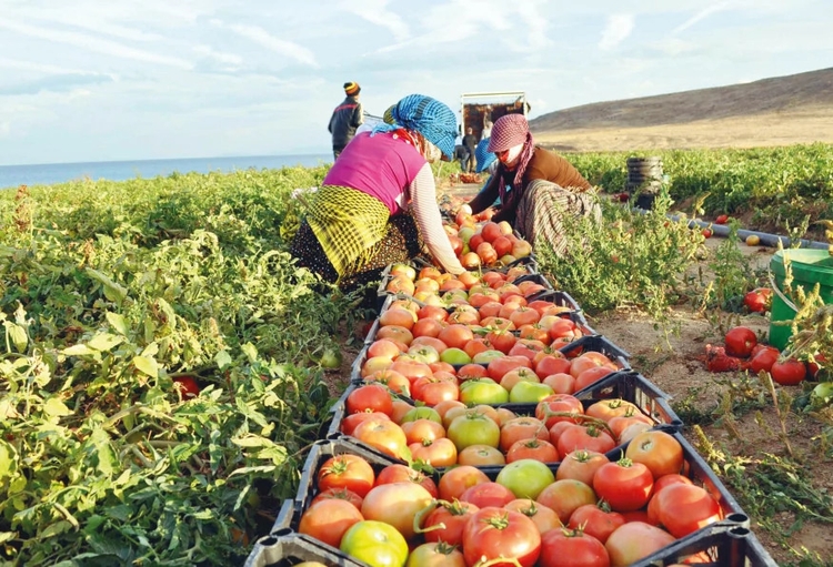 10 Days Gastronomical Ecological Tour Turkey