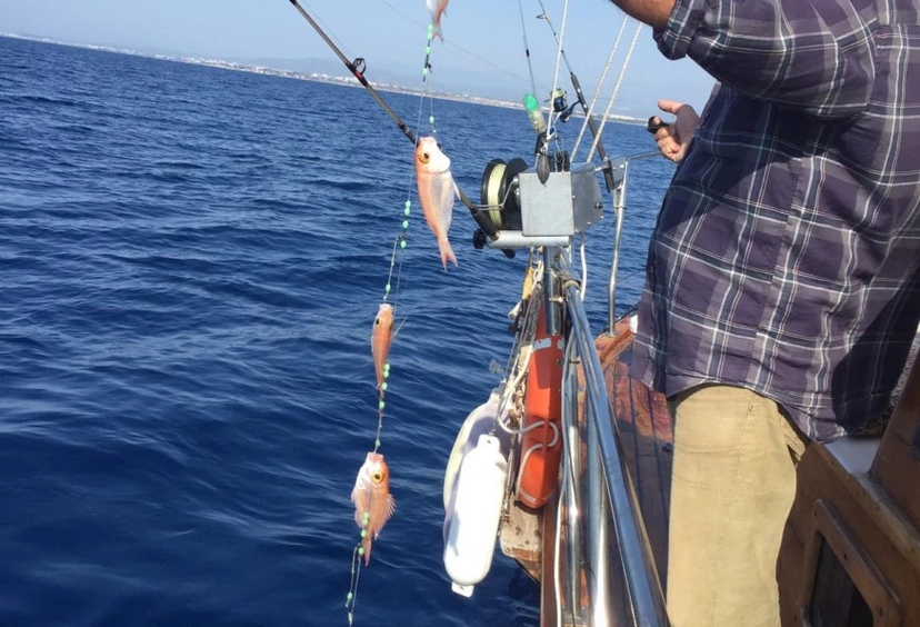 Daily Fishing Tour in Marmaris 3