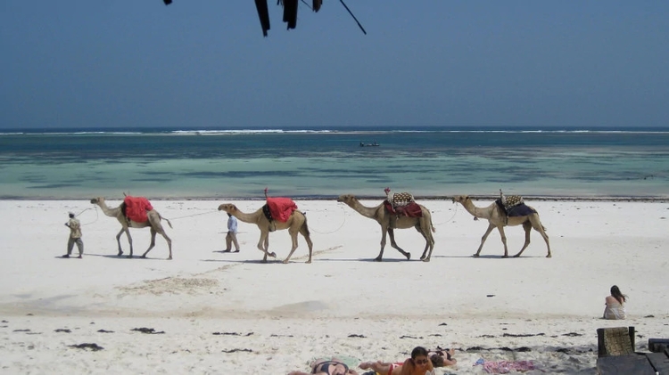 10 Days Safari & Beach Package