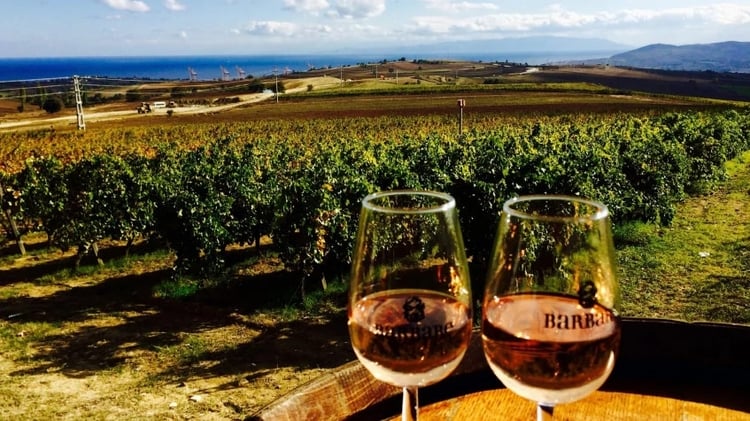 Daily Edirne Tekirdag Wine Tasting Tour