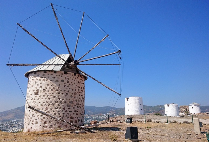 Main Image