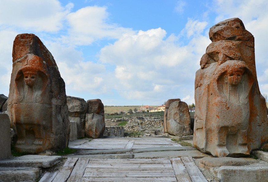 Main Image