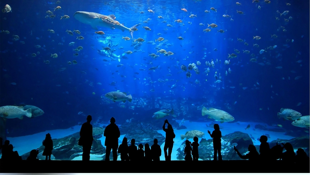 10 Days Family Marmara & Mediterranean Tour 8