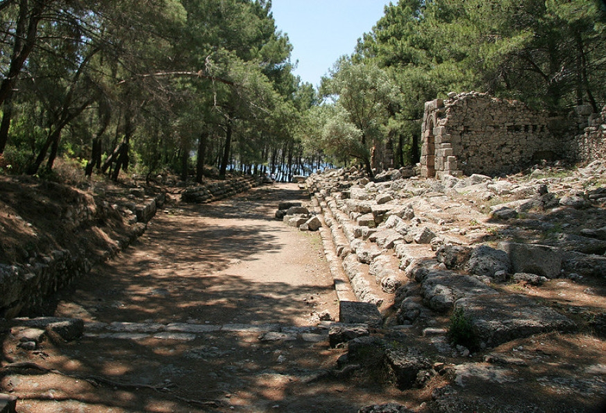Image 1