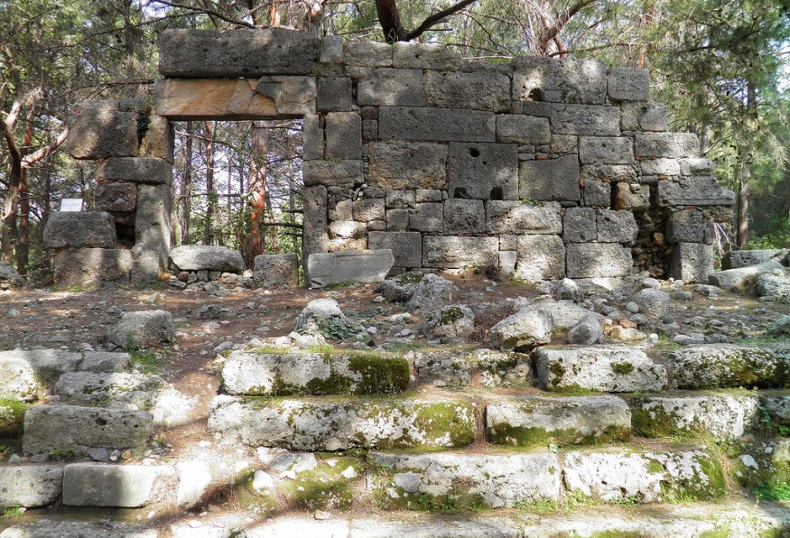 Image 2