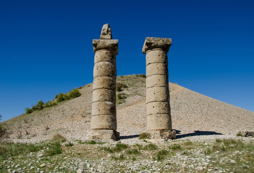 Main Image