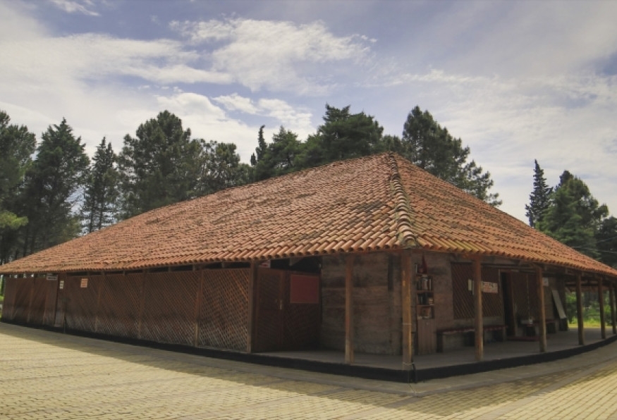 Main Image