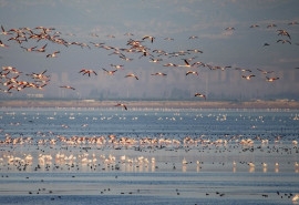 Akyatan Lake