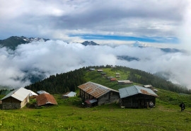 Pokut Plateau