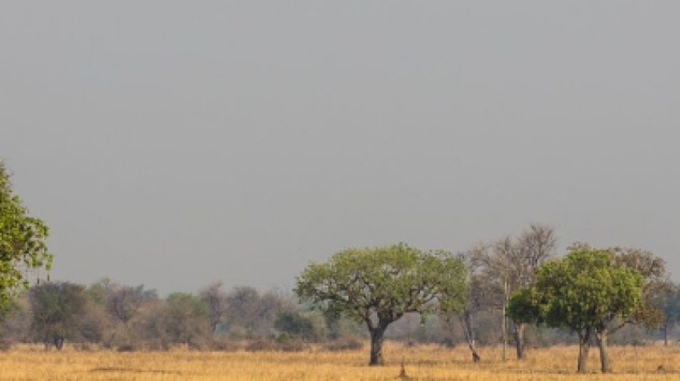 9 Days - Discover Zambia’s Luangwa Safari