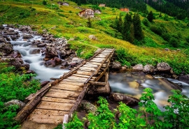 Elevit Plateau