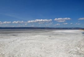 Salt Lake