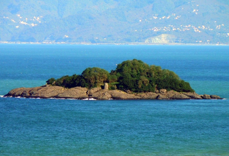Main Image