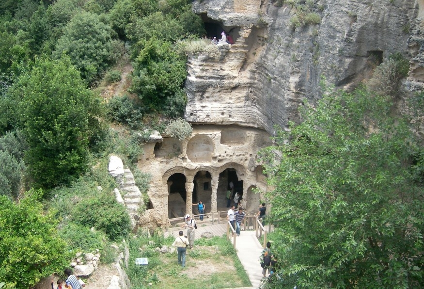 Main Image