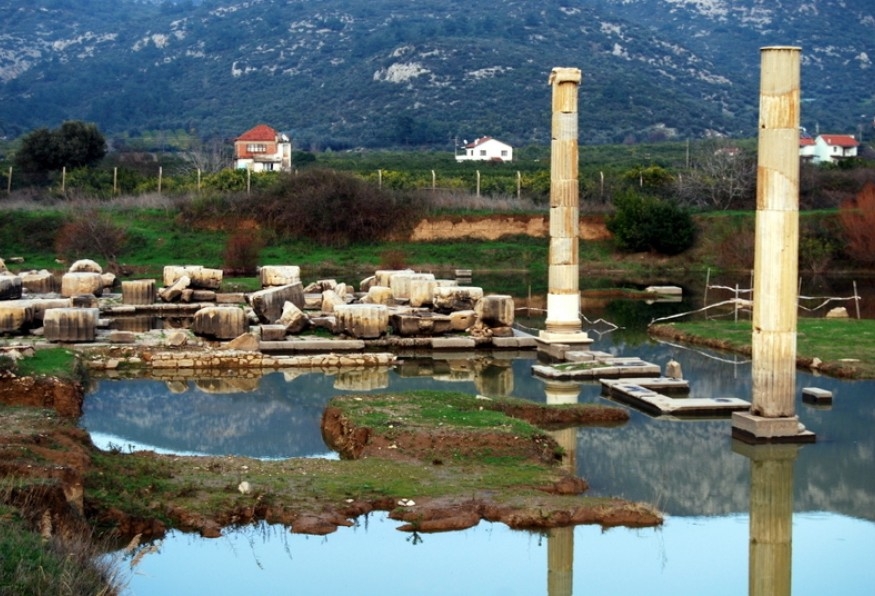 Main Image