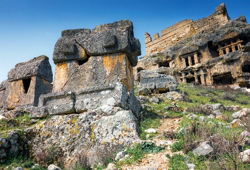 Main Image