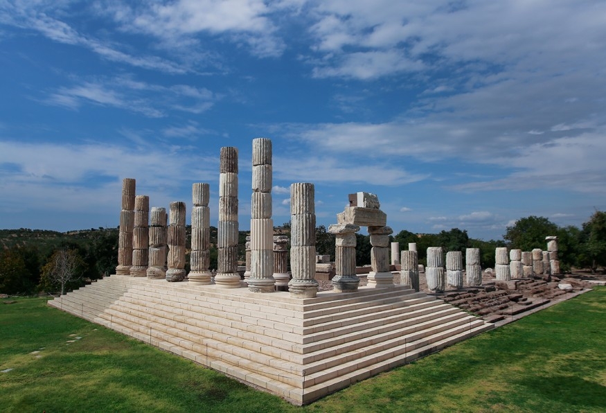 Main Image
