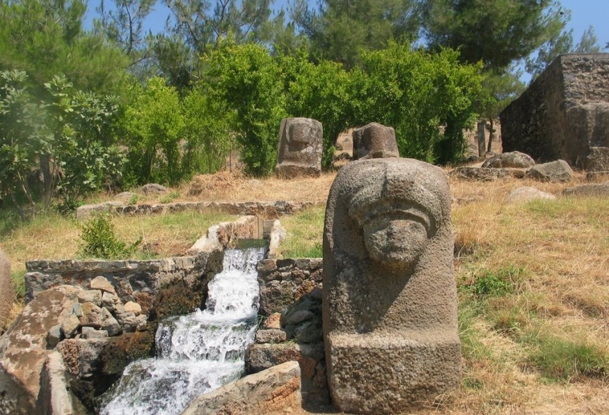 Main Image