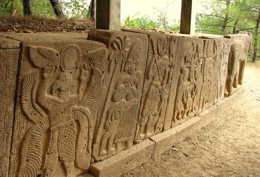 Main Image