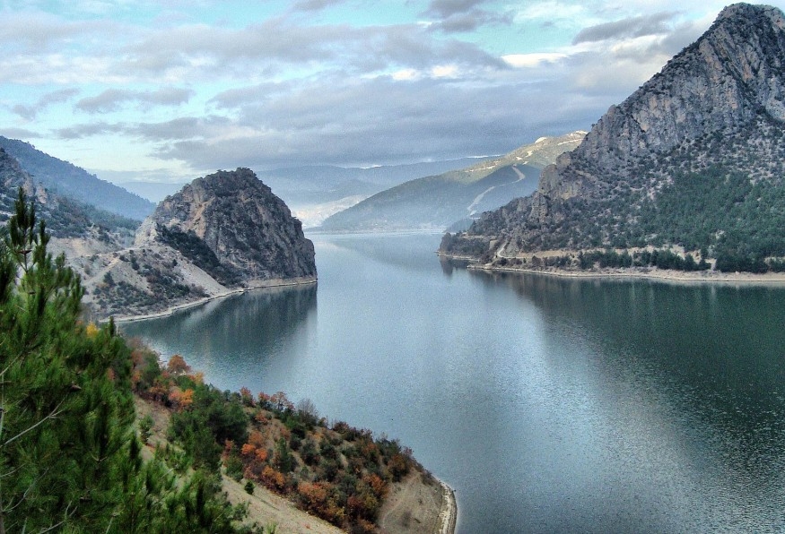Main Image