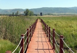 Kaz Lake