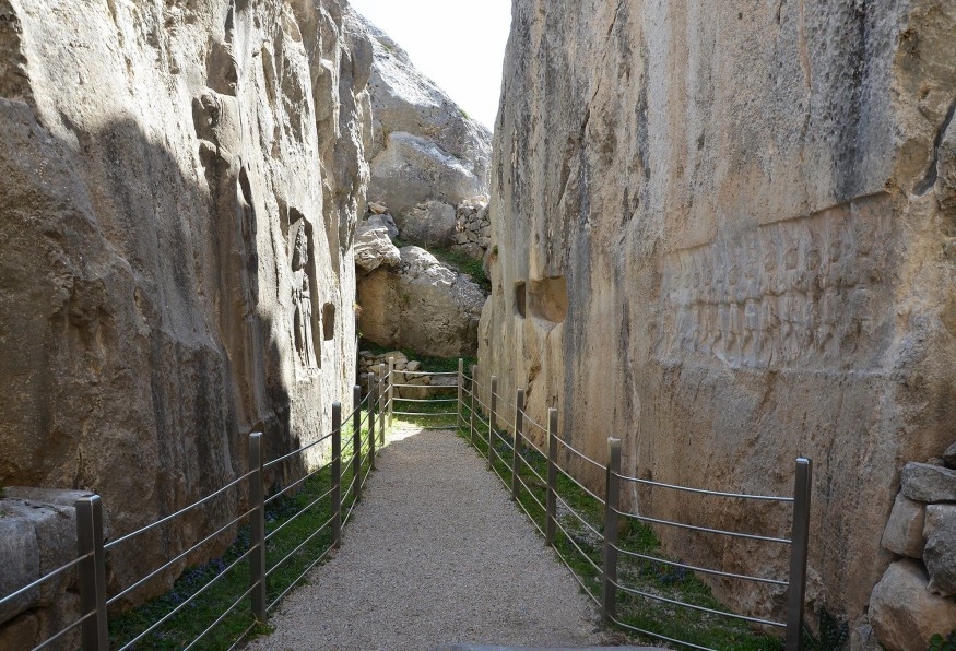 Image 3