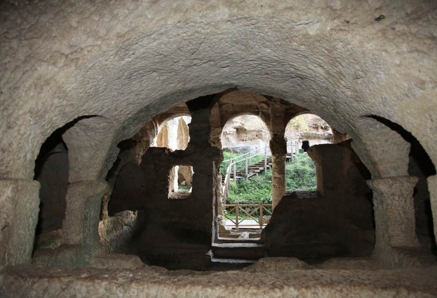 Image 2