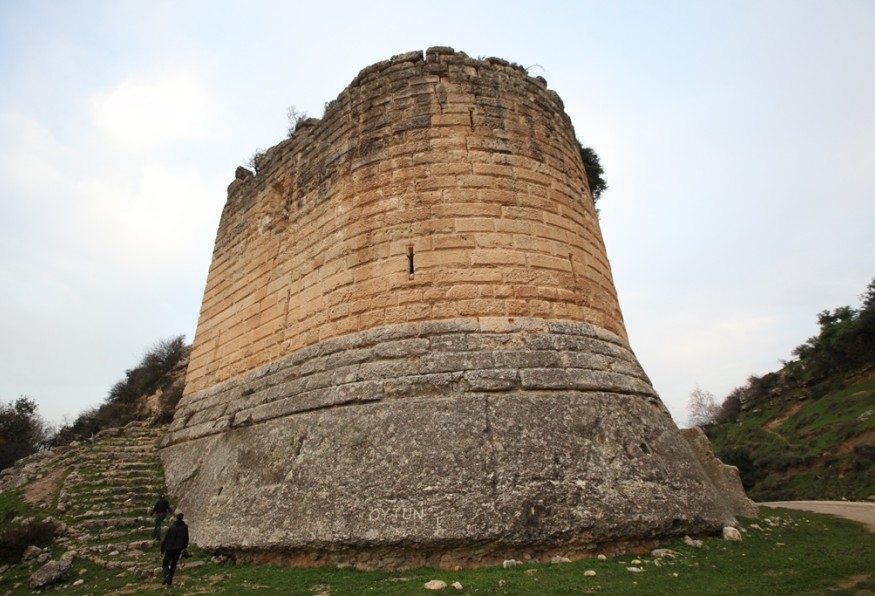 Image 3
