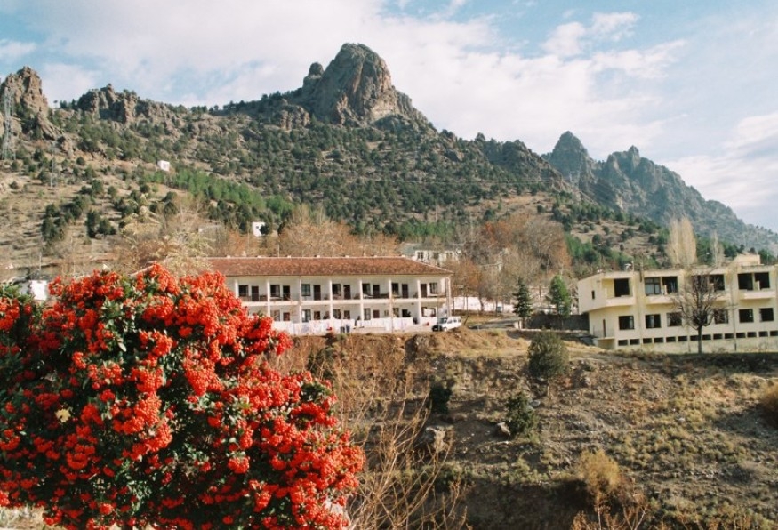 Image 1