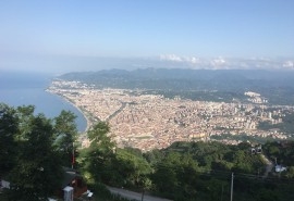 Ordu