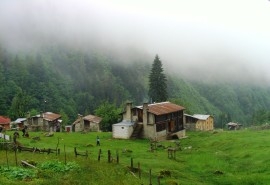 Rize