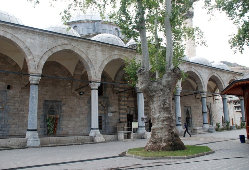 Image 4