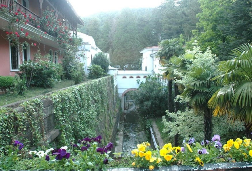 Main Image