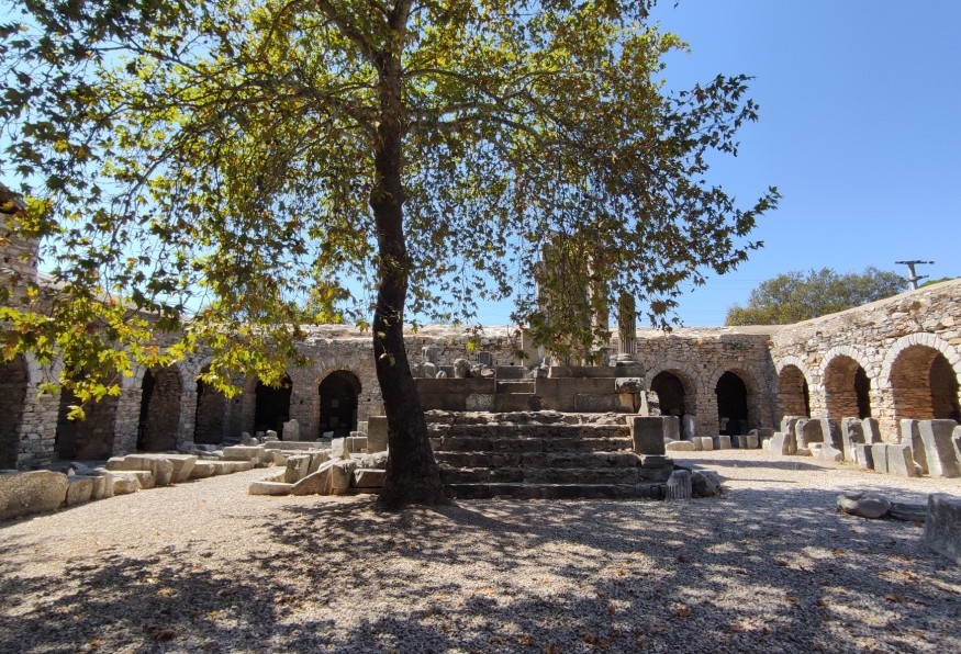 Main Image